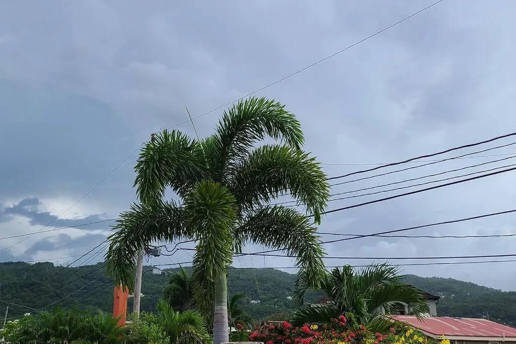 Calabash Place Villa Montego Bay 0*,  Jamaica